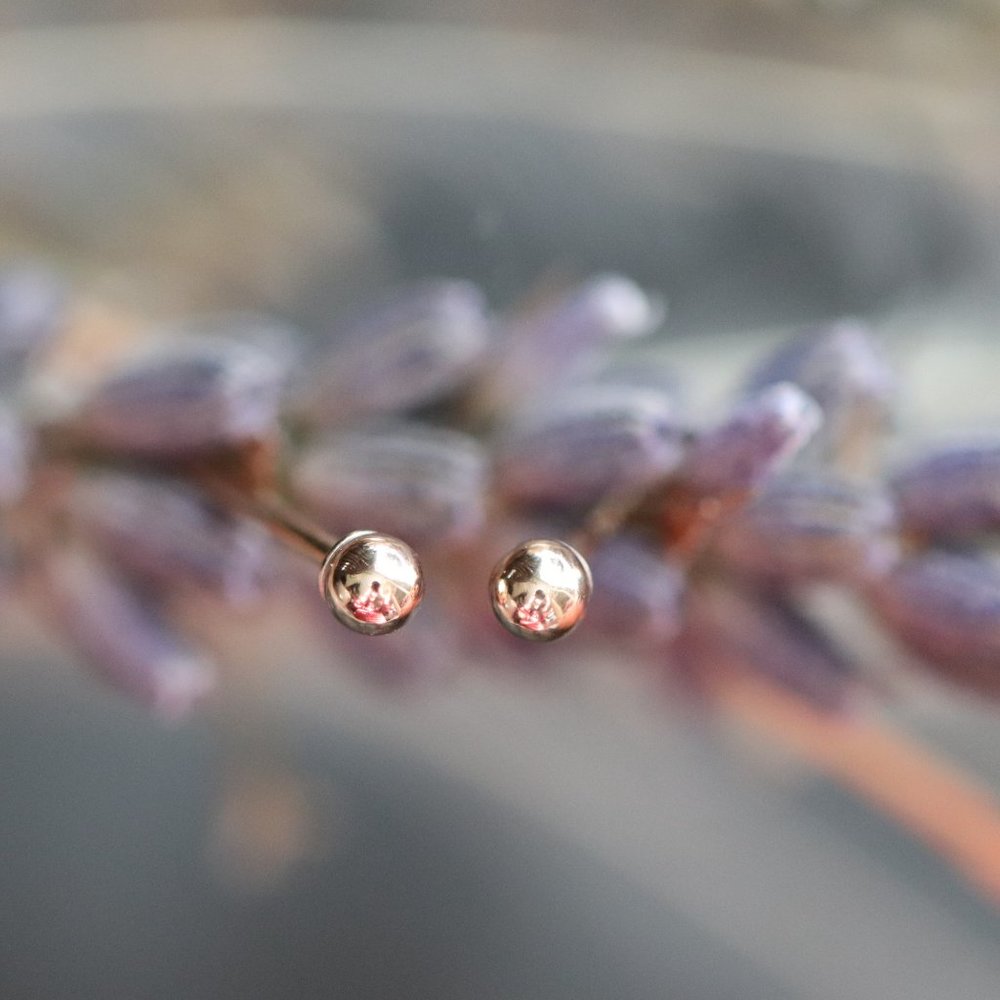 Studs - Picture 3 of 6